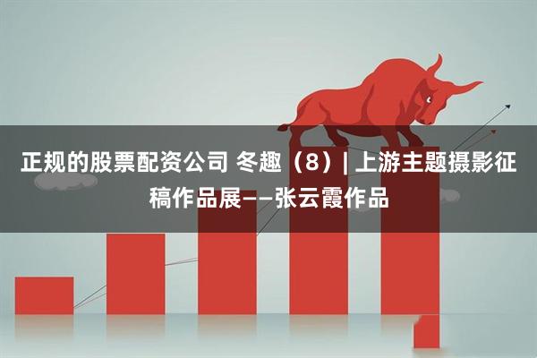 正规的股票配资公司 冬趣(8)| 上游主题摄影征稿作品展——张云霞作品