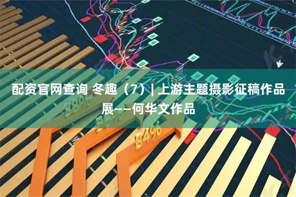 配资官网查询 冬趣（7）| 上游主题摄影征稿作品展——何华文作品